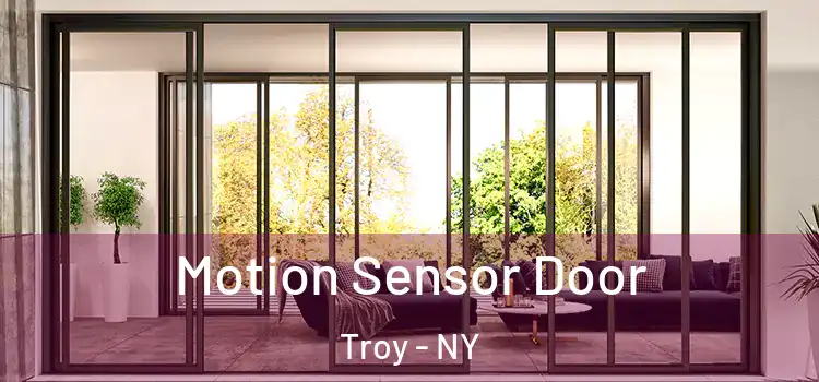 Motion Sensor Door Troy - NY